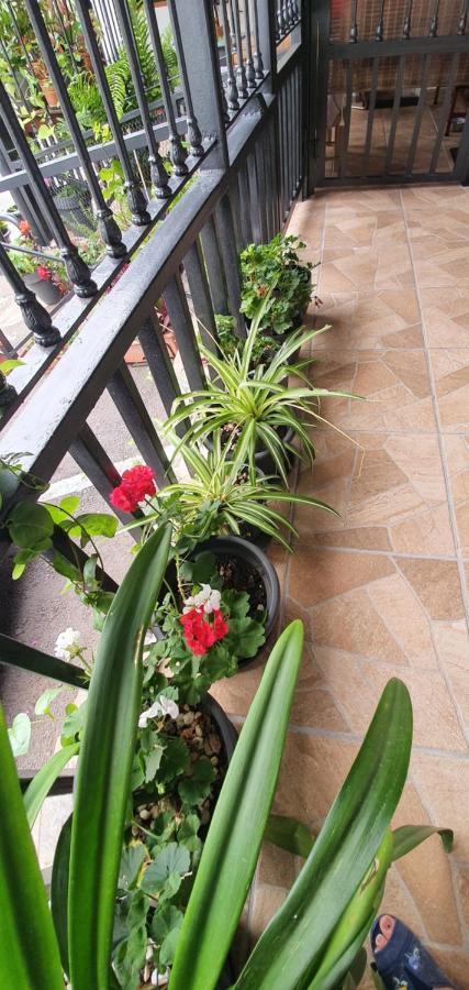 Casa Rural El Puente Таганана Екстер'єр фото